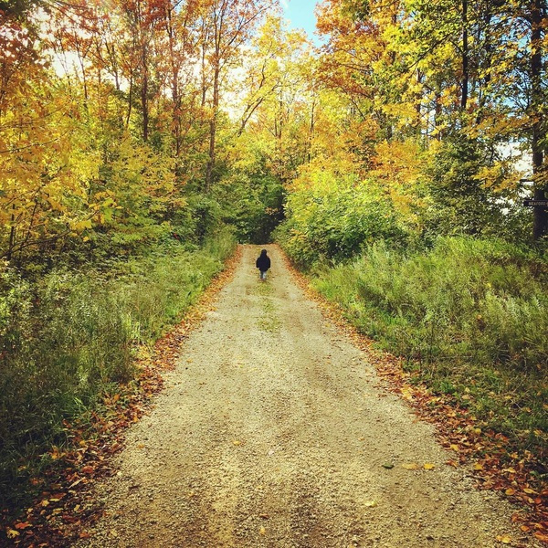 Charles dans la forêt