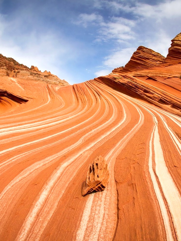 Désert de l'Arizona