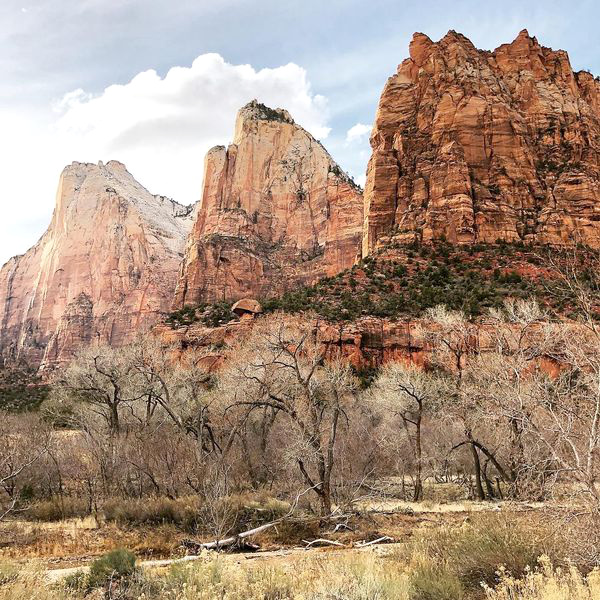 Zion National Park