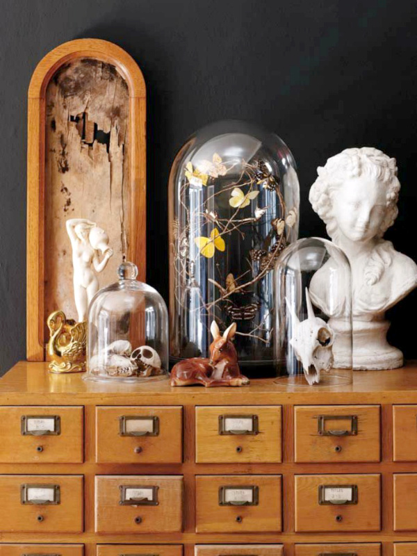 Cabinet de curiosités