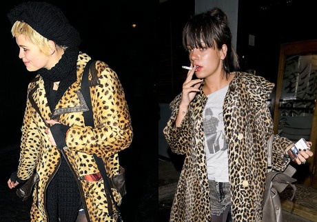 Le léopard - Hiver 2009