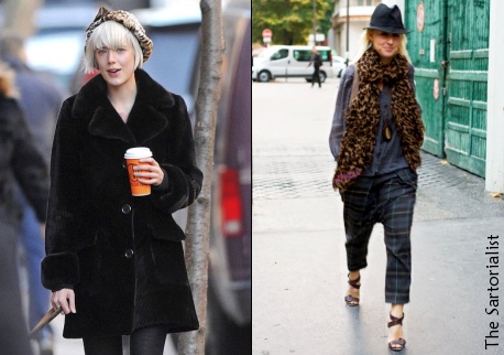 Le léopard - Hiver 2009