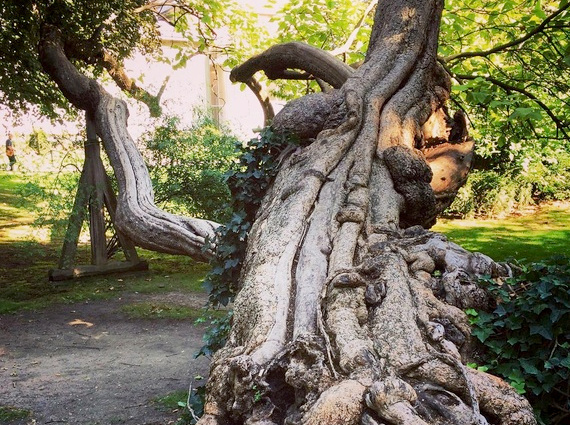 Chronique #54 : Un été à Paris