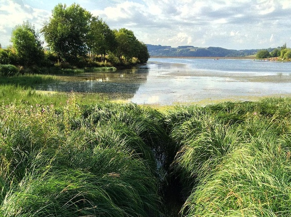 Chronique #55 : Éloge de l'inaction