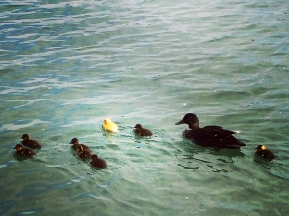 Florilège de bizarreries #1