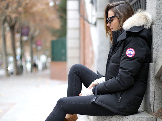 Chronique #78 : Canada Goose or not ?