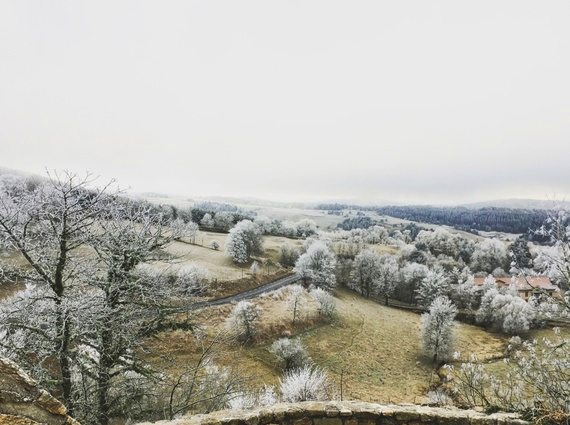 Chronique #84 : Bilan parisiano-lozérien