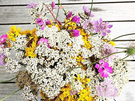 Chronique #92 : Résolutions estivales