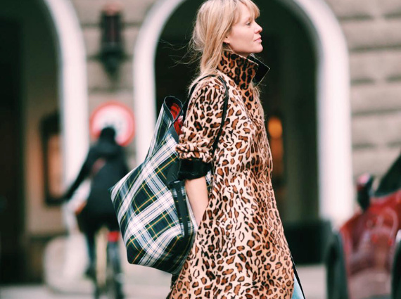 Chronique #103 : Le léopard et moi