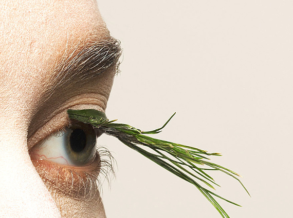 Florilège de bizarreries #2