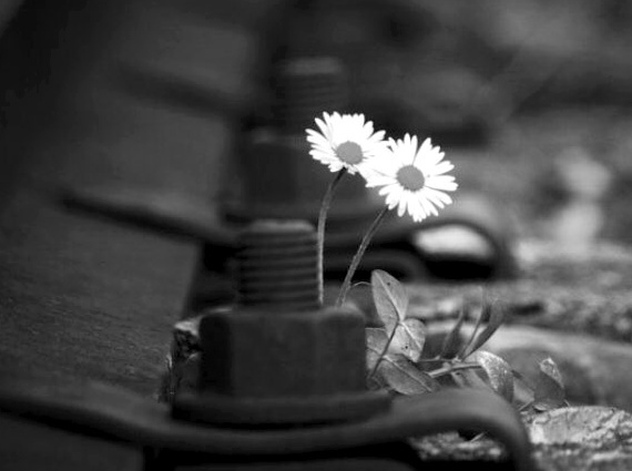 Chronique #148 : Jet lag, préhistoire et négativité