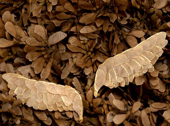 Chronique #183 : Pensées à la veille de mes 40 ans 