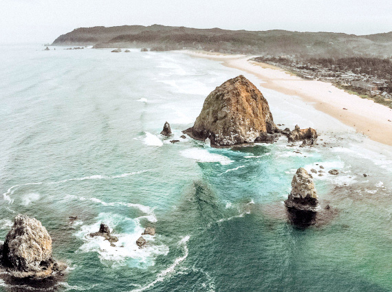 Chronique #184 : Accepter l'évidence